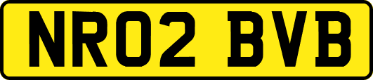 NR02BVB