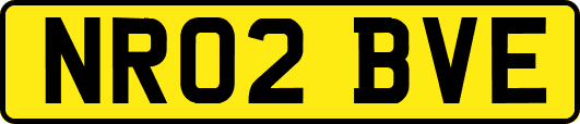 NR02BVE
