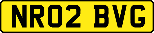 NR02BVG