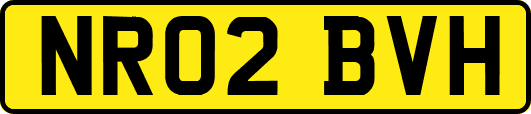 NR02BVH