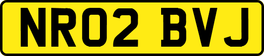 NR02BVJ
