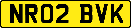 NR02BVK