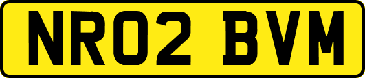 NR02BVM