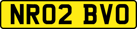 NR02BVO