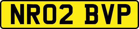 NR02BVP