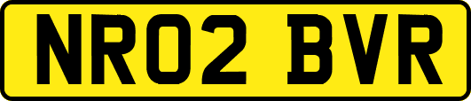 NR02BVR