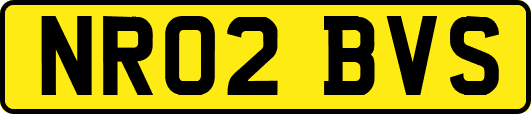 NR02BVS