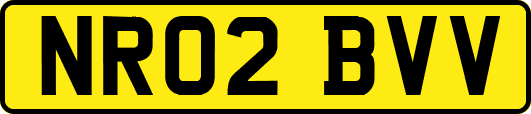NR02BVV