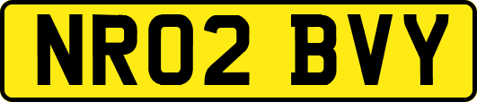 NR02BVY