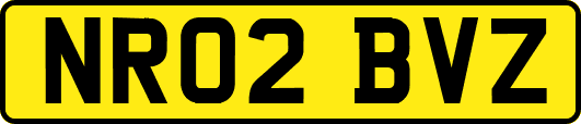 NR02BVZ