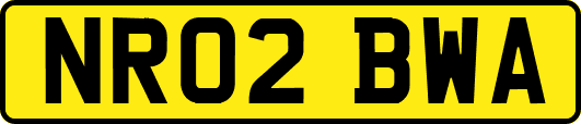 NR02BWA