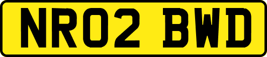NR02BWD