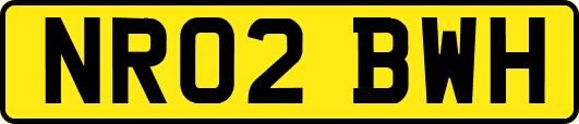 NR02BWH