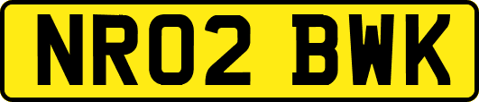 NR02BWK