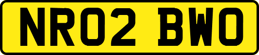 NR02BWO