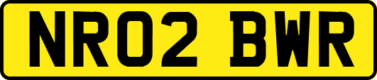 NR02BWR