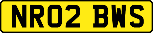 NR02BWS