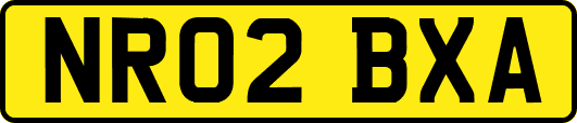 NR02BXA