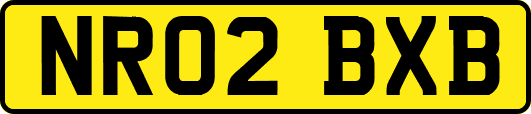 NR02BXB