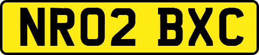 NR02BXC