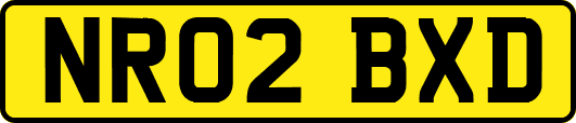 NR02BXD