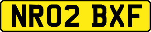 NR02BXF