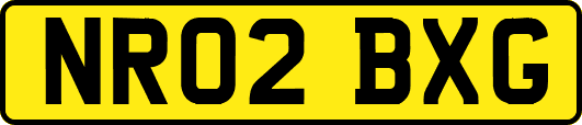 NR02BXG