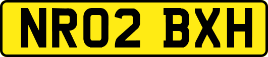NR02BXH