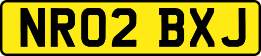 NR02BXJ