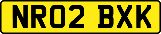 NR02BXK