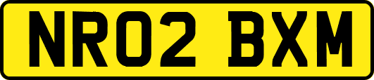 NR02BXM