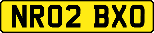NR02BXO