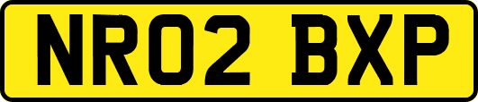 NR02BXP