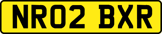 NR02BXR