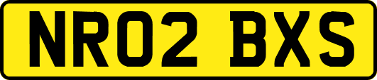 NR02BXS