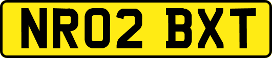 NR02BXT