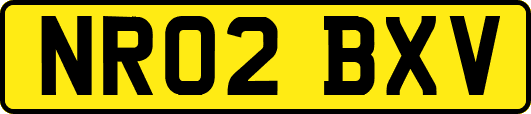NR02BXV