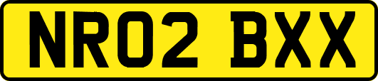 NR02BXX