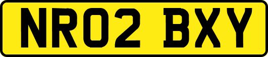 NR02BXY