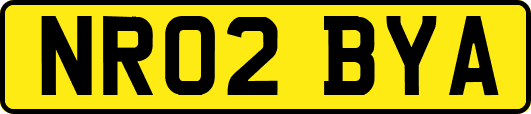 NR02BYA