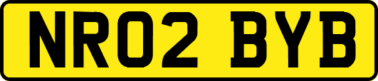 NR02BYB