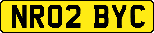 NR02BYC