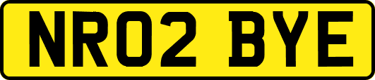 NR02BYE