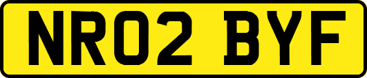 NR02BYF