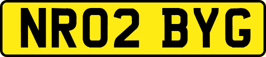 NR02BYG