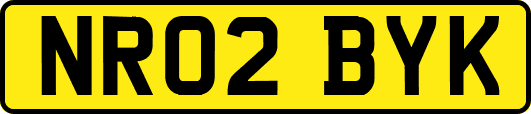 NR02BYK