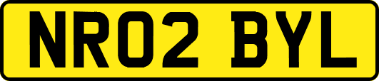 NR02BYL