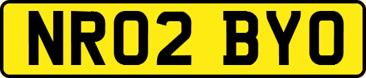 NR02BYO