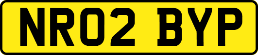 NR02BYP