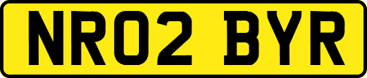 NR02BYR